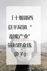 十堰郧西县羊尾镇“甜蜜产业”鼓起群众钱袋子