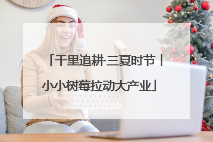 千里追耕·三夏时节丨小小树莓拉动大产业