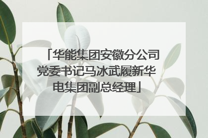华能集团安徽分公司党委书记马冰武履新华电集团副总经理