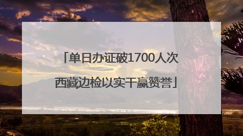 单日办证破1700人次 西藏边检以实干赢赞誉