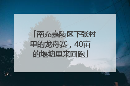 南充嘉陵区下张村里的龙舟赛，40亩的堰塘里来回跑