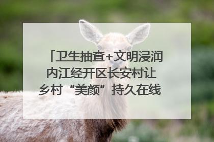 卫生抽查+文明浸润 内江经开区长安村让乡村“美颜”持久在线｜万千气象看四川