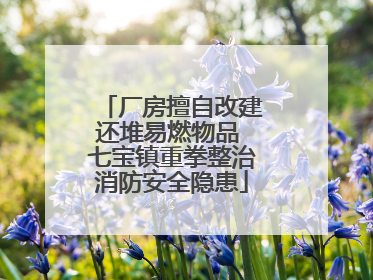厂房擅自改建还堆易燃物品 七宝镇重拳整治消防安全隐患