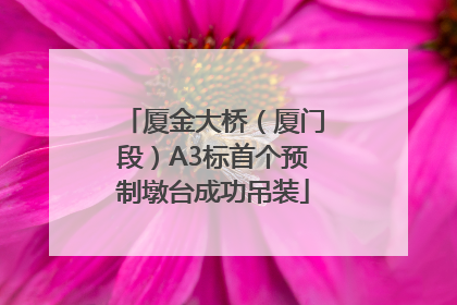 厦金大桥（厦门段）A3标首个预制墩台成功吊装