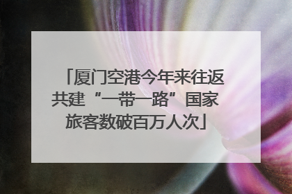 厦门空港今年来往返共建“一带一路”国家旅客数破百万人次