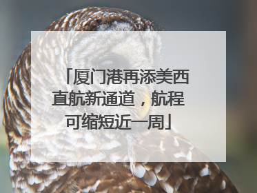 厦门港再添美西直航新通道，航程可缩短近一周