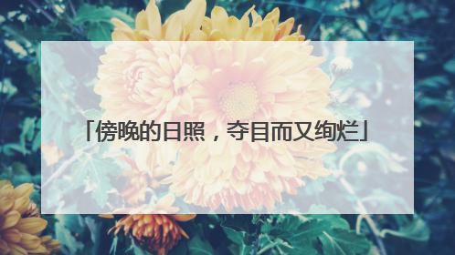傍晚的日照，夺目而又绚烂