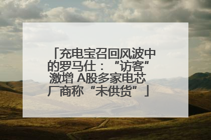 充电宝召回风波中的罗马仕：“访客”激增 A股多家电芯厂商称“未供货”