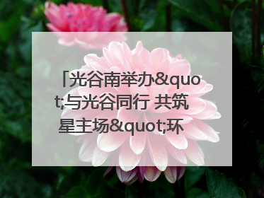 光谷南举办"与光谷同行 共筑星主场"环湖徒步活动 吸引500余名市民参与