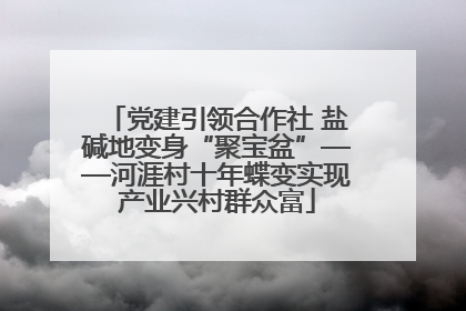 党建引领合作社 盐碱地变身“聚宝盆”——河涯村十年蝶变实现产业兴村群众富