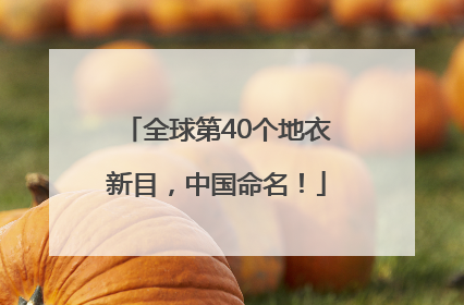 全球第40个地衣新目，中国命名！