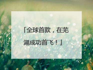 全球首款，在芜湖成功首飞！