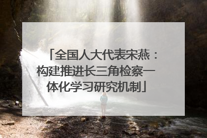 全国人大代表宋燕：构建推进长三角检察一体化学习研究机制