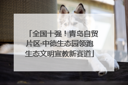 全国十强！青岛自贸片区·中德生态园领跑生态文明宣教新赛道
