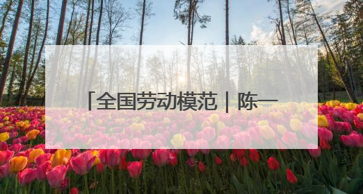 全国劳动模范｜陈一文：用心跑好每一单 用爱回馈这座城
