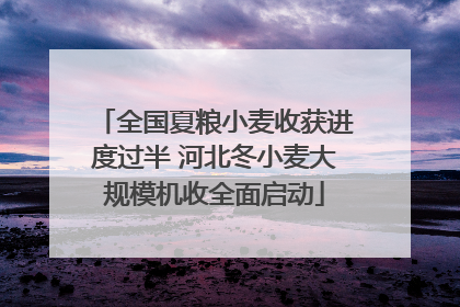 全国夏粮小麦收获进度过半 河北冬小麦大规模机收全面启动
