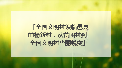 全国文明村镇临邑县前杨新村：从贫困村到全国文明村华丽蜕变