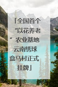 全国首个“以花养老”农业基地 云南绣球盒马村正式挂牌