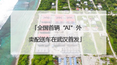 全国首辆“AI”外卖配送车在武汉首发
