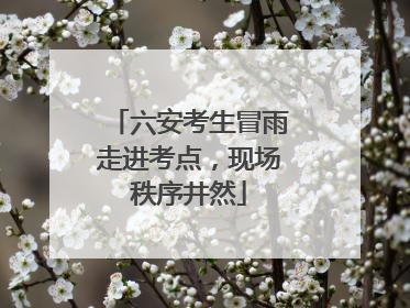 六安考生冒雨走进考点，现场秩序井然