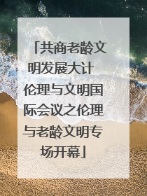 共商老龄文明发展大计 伦理与文明国际会议之伦理与老龄文明专场开幕