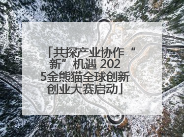 共探产业协作“新”机遇 2025金熊猫全球创新创业大赛启动