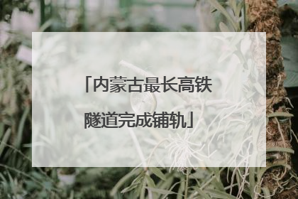 内蒙古最长高铁隧道完成铺轨