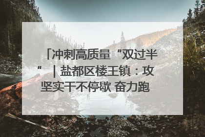 冲刺高质量“双过半”｜盐都区楼王镇：攻坚实干不停歇 奋力跑赢“上半场”