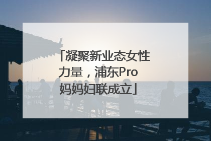 凝聚新业态女性力量，浦东Pro妈妈妇联成立
