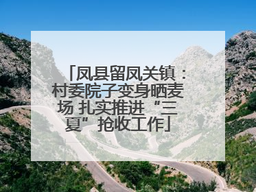 凤县留凤关镇：村委院子变身晒麦场 扎实推进“三夏”抢收工作