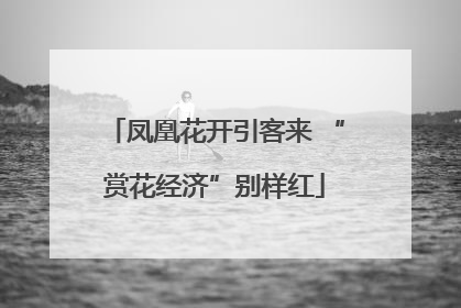凤凰花开引客来 “赏花经济”别样红