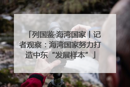 列国鉴·海湾国家丨记者观察：海湾国家努力打造中东“发展样本”