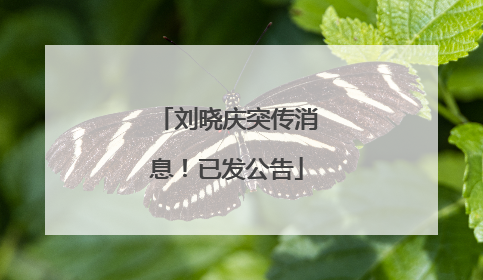 刘晓庆突传消息！已发公告