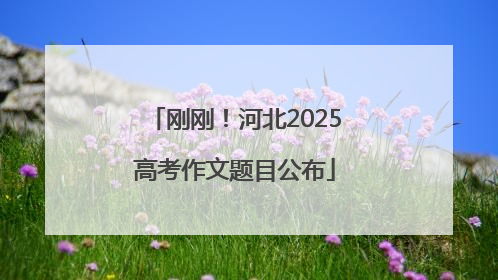 刚刚！河北2025高考作文题目公布