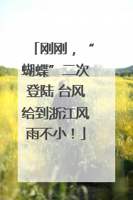 刚刚，“蝴蝶”二次登陆 台风给到浙江风雨不小！