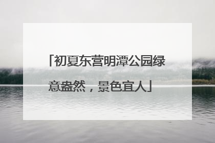初夏东营明潭公园绿意盎然，景色宜人
