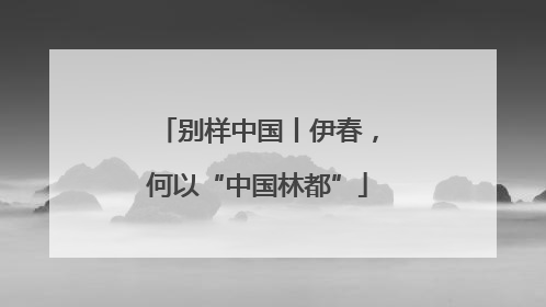别样中国丨伊春，何以“中国林都”