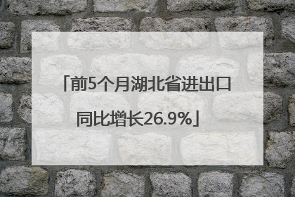 前5个月湖北省进出口同比增长26.9%