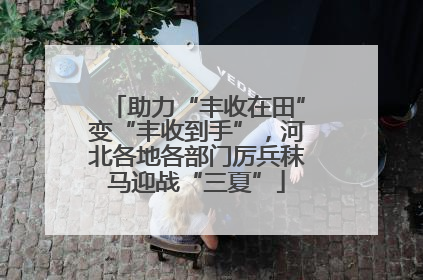 助力“丰收在田”变“丰收到手”，河北各地各部门厉兵秣马迎战“三夏”