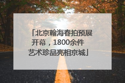 北京翰海春拍预展开幕，1800余件艺术珍品亮相京城