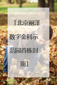 北京丽泽数字金科示范园首栋封顶