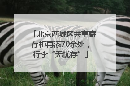 北京西城区共享寄存柜再添70余处，行李“无忧存”
