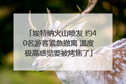 埃特纳火山喷发 约40名游客紧急撤离 温度极高感觉要被烤焦了