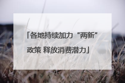 各地持续加力“两新”政策 释放消费潜力