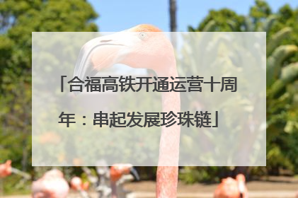 合福高铁开通运营十周年：串起发展珍珠链