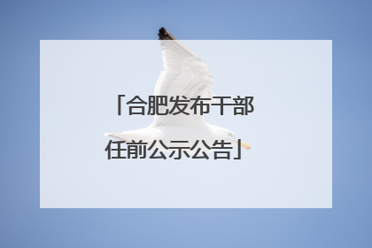 合肥发布干部任前公示公告