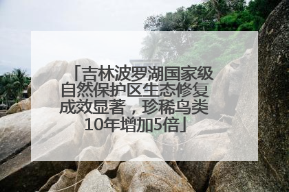 吉林波罗湖国家级自然保护区生态修复成效显著，珍稀鸟类10年增加5倍