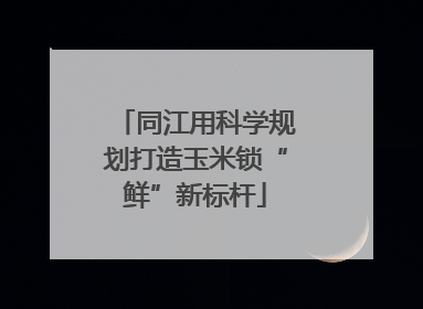 同江用科学规划打造玉米锁“鲜”新标杆