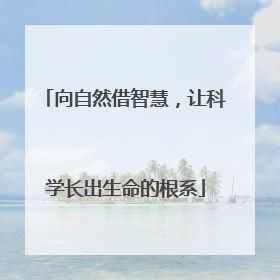 向自然借智慧，让科学长出生命的根系