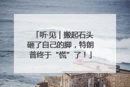 听·见｜搬起石头砸了自己的脚，特朗普终于“慌”了！